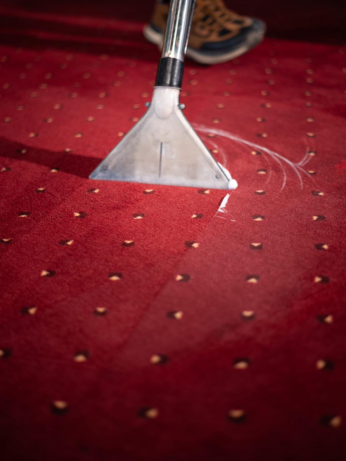 Detailaufnahme der Teppichtiefenreinigung